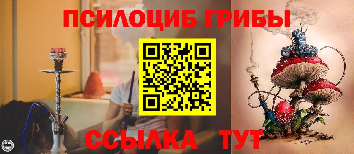 где продают наркотики  Вход с VPN  Советский  Псилоцибиновые грибы прущие грибы 
